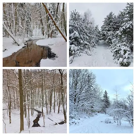 Apartment Live Like A Local Hanging Gardens