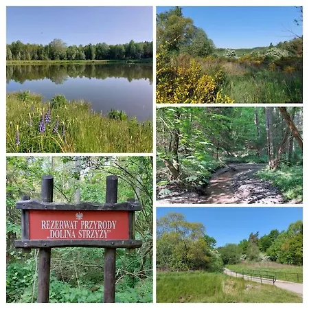 Live Like A Local Hanging Gardens Apartment Gdansk