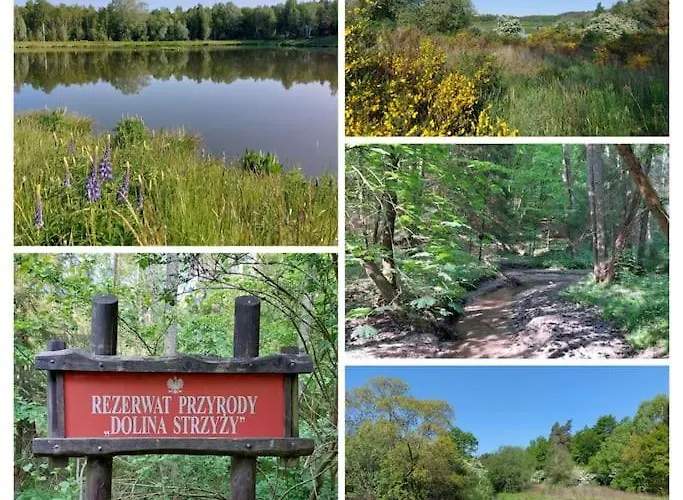 Live Like A Local Hanging Gardens דירה גדנסק