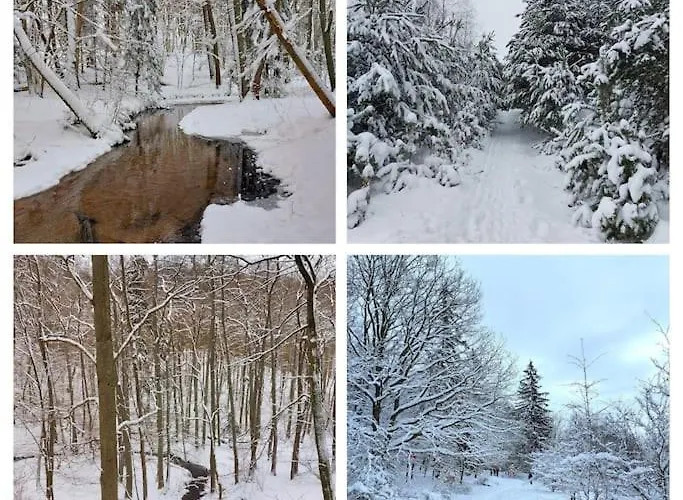 Apartament Live Like A Local Hanging Gardens